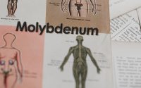 medical molybdenum
