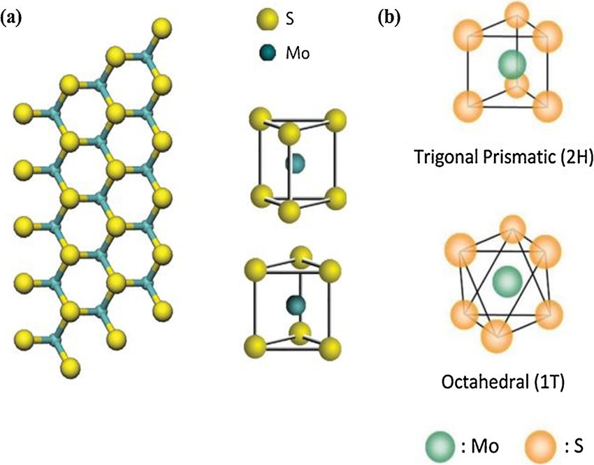 Structure of Dimethicone Figure 2: Structure of Mosapride